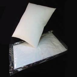 Vacuum Packed Filled Pillow Pair
