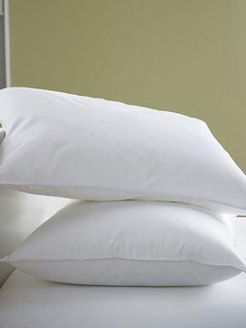 Vacuum Packed-Luxury Filled Pillow