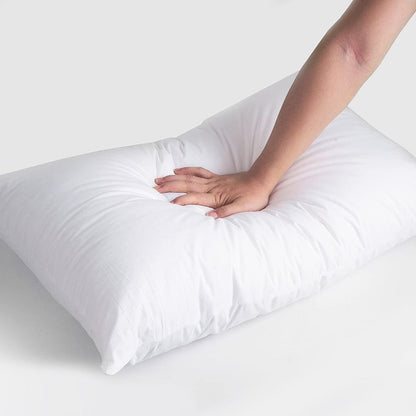 Vacuum Packed Filled Pillow Pair - Zaraish.com