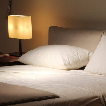 Vacuum Packed Filled Pillow Pair - Zaraish.com